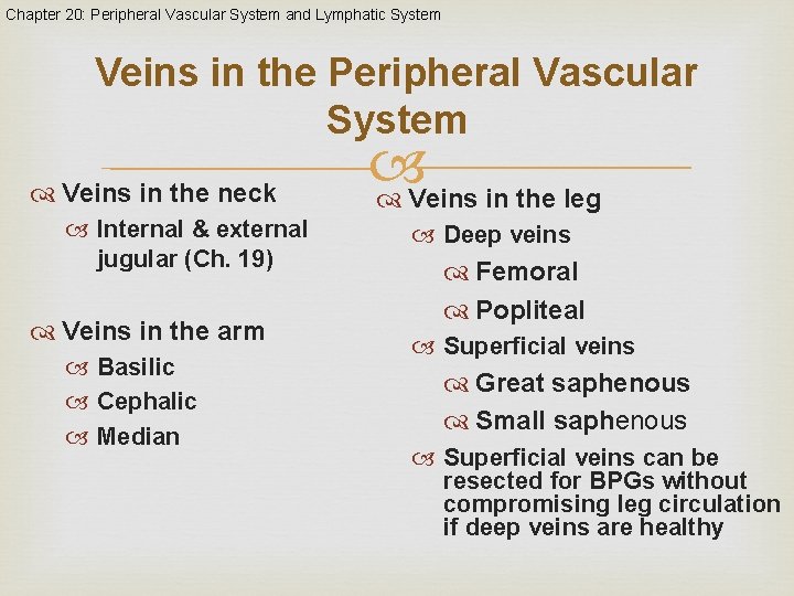 Chapter 20: Peripheral Vascular System and Lymphatic System Veins in the Peripheral Vascular System