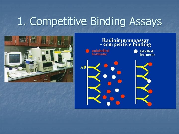 1. Competitive Binding Assays 