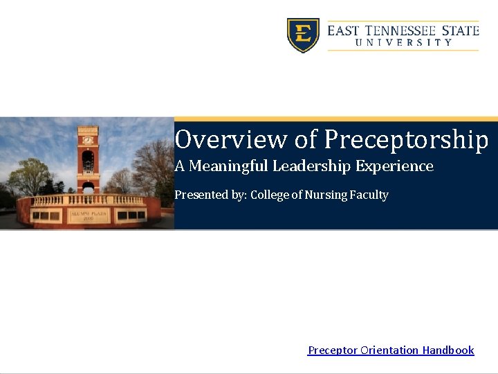 Overview of Preceptorship A Meaningful Leadership Experience Presented by: College of Nursing Faculty Preceptor