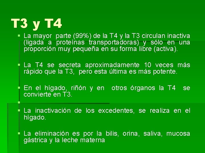 T 3 y T 4 § La mayor parte (99%) de la T 4