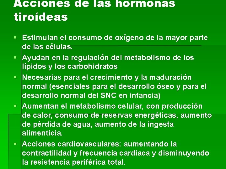 Acciones de las hormonas tiroídeas § Estimulan el consumo de oxígeno de la mayor