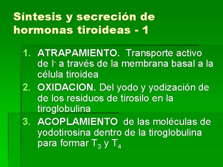 Síntesis y secreción de hormonas tiroideas - 1 1. ATRAPAMIENTO. Transporte activo de I-