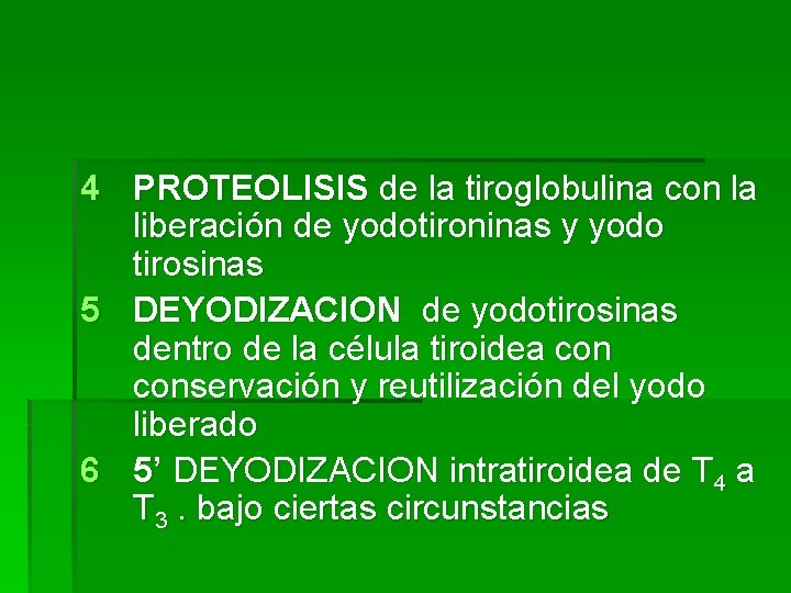 4 PROTEOLISIS de la tiroglobulina con la liberación de yodotironinas y yodo tirosinas 5