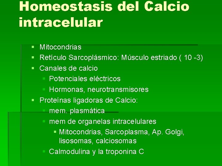 Homeostasis del Calcio intracelular § § § Mitocondrias Retículo Sarcoplásmico: Músculo estriado ( 10