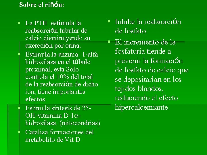 Sobre el riñón: § La PTH estimula la reabsorción tubular de calcio disminuyendo su