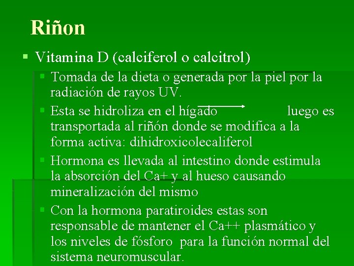 Riñon § Vitamina D (calciferol o calcitrol) § Tomada de la dieta o generada