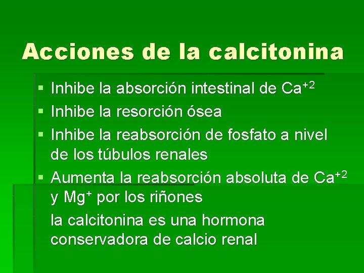 Acciones de la calcitonina § § § Inhibe la absorción intestinal de Ca+2 Inhibe