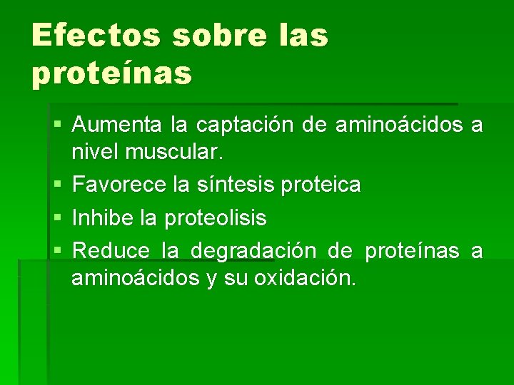 Efectos sobre las proteínas § Aumenta la captación de aminoácidos a nivel muscular. §