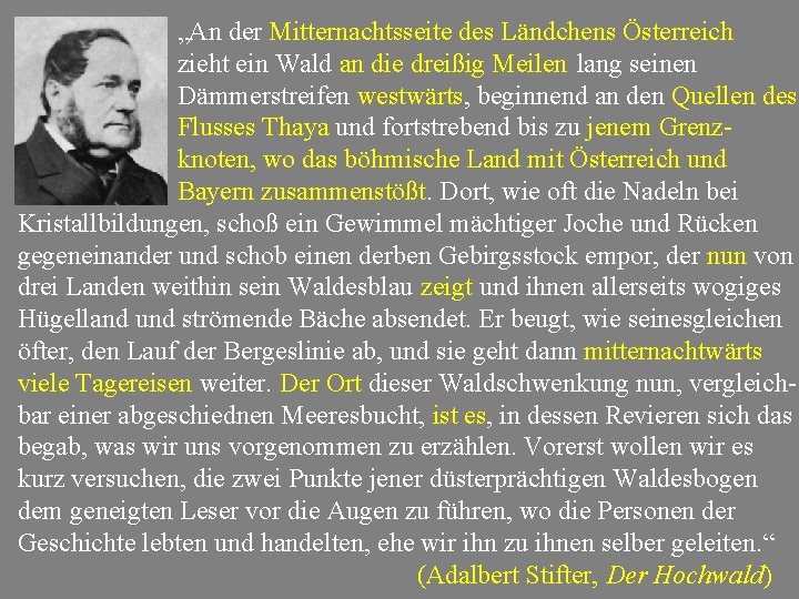 „An der Mitternachtsseite des Ländchens Österreich zieht ein Wald an die dreißig Meilen lang