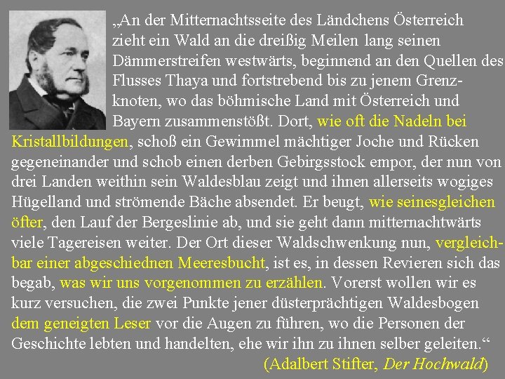 „An der Mitternachtsseite des Ländchens Österreich zieht ein Wald an die dreißig Meilen lang