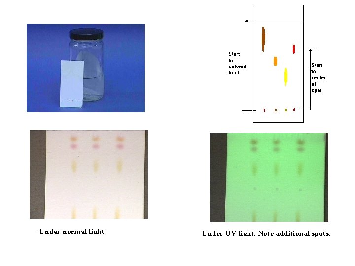 Under normal light Under UV light. Note additional spots. 