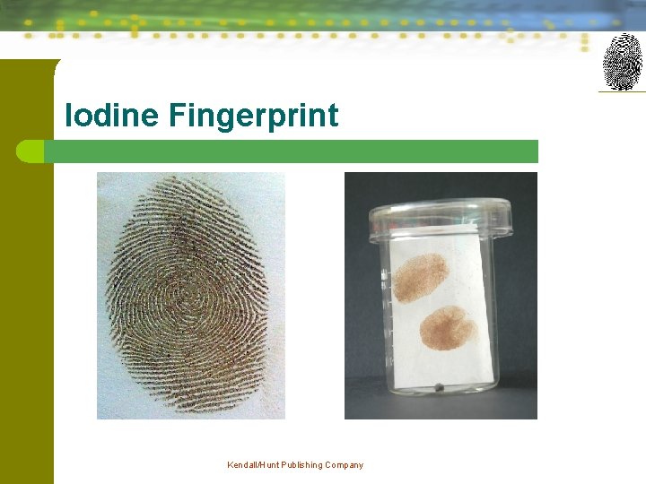 Iodine Fingerprint Kendall/Hunt Publishing Company 6 