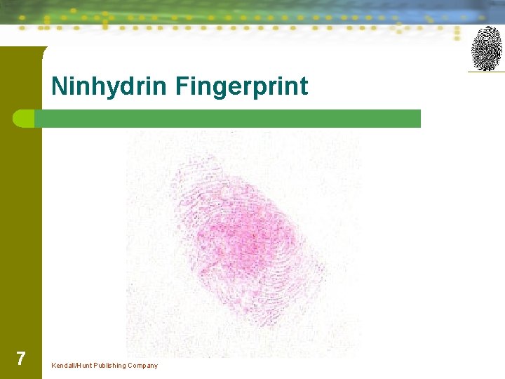 Ninhydrin Fingerprint 7 Kendall/Hunt Publishing Company 