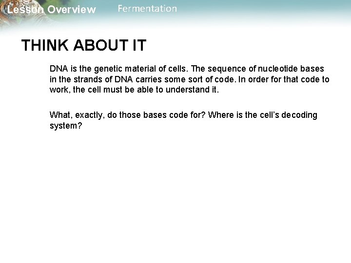 Lesson Overview Fermentation THINK ABOUT IT DNA is the genetic material of cells. The