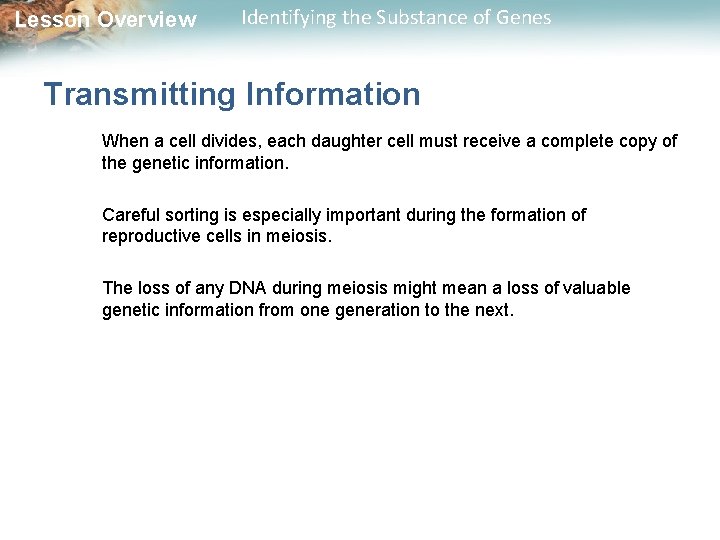 Lesson Overview Identifying the Substance of Genes Transmitting Information When a cell divides, each