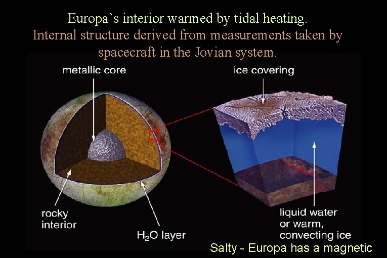 Europa’s interior warmed by tidal heating. Internal structure derived from measurements taken by spacecraft