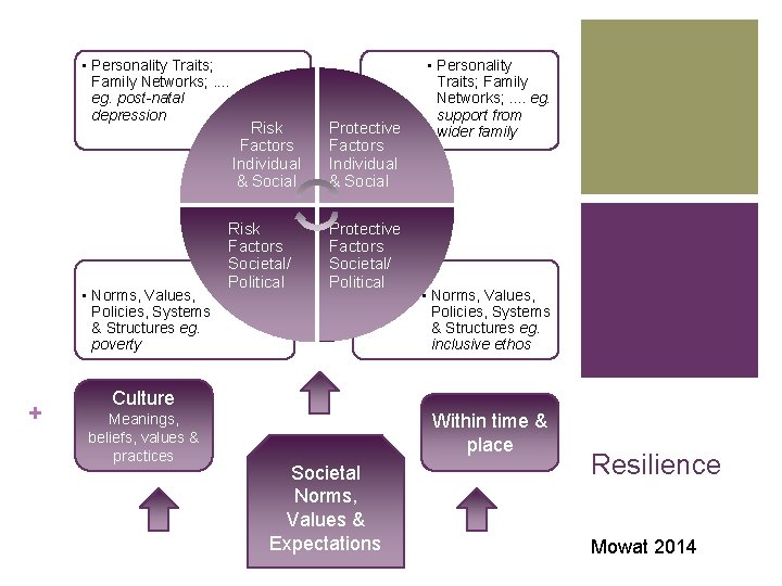  • Personality Traits; Family Networks; . . eg. post-natal depression • Norms, Values,