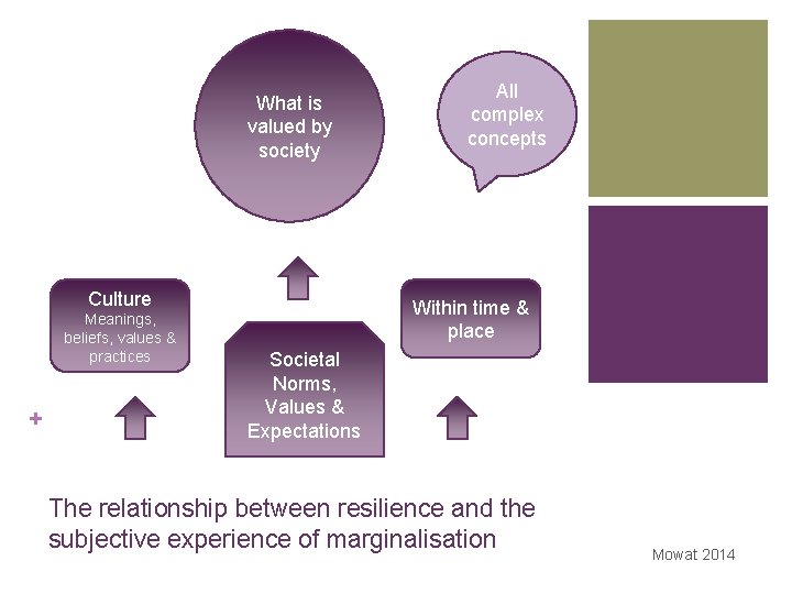 What is valued by society Culture Meanings, beliefs, values & practices + All complex
