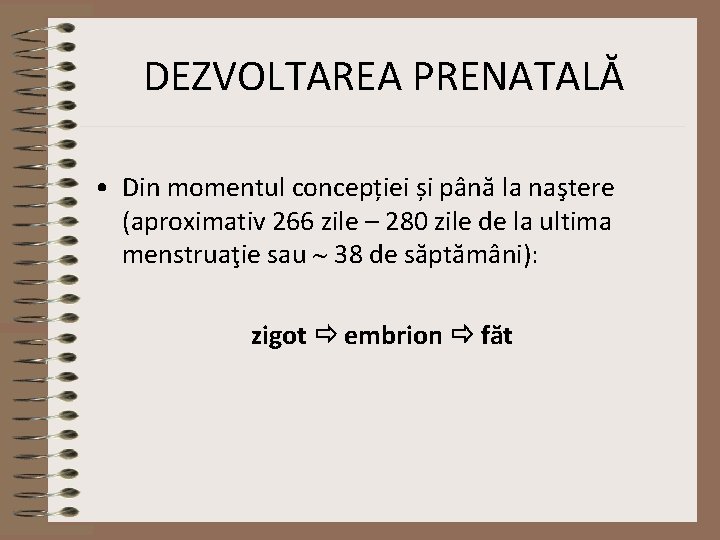 viziune prenatală)