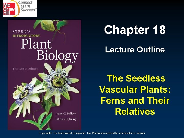 Chapter 18 Lecture Outline The Seedless Vascular Plants: Ferns and Their Relatives Copyright ©