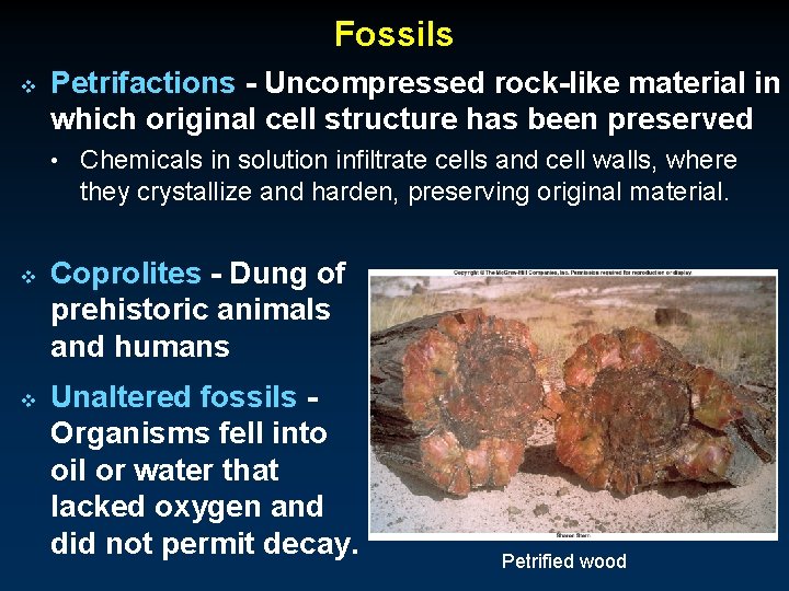 Fossils v Petrifactions - Uncompressed rock-like material in which original cell structure has been