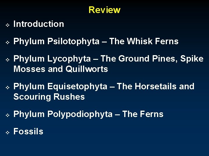 Review v Introduction v Phylum Psilotophyta – The Whisk Ferns v v Phylum Lycophyta