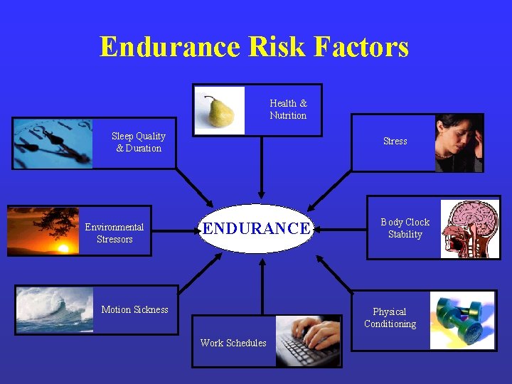 Endurance Risk Factors Health & Nutrition Sleep Quality & Duration Environmental Stressors Stress ENDURANCE Endurance Risk Factors Health & Nutrition Sleep Quality & Duration Environmental Stressors Stress ENDURANCE