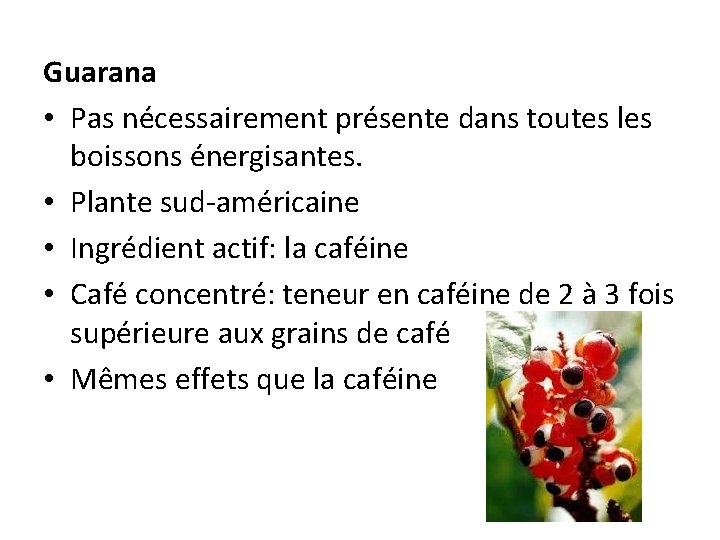Guarana • Pas nécessairement présente dans toutes les boissons énergisantes. • Plante sud-américaine •