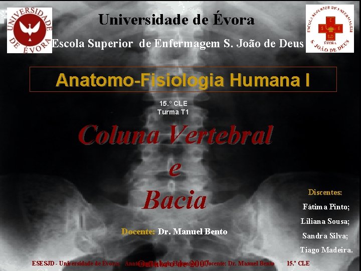 Universidade de Évora Escola Superior de Enfermagem S. João de Deus Anatomo-Fisiologia Humana I