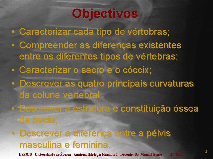 Objectivos • Caracterizar cada tipo de vértebras; • Compreender as diferenças existentes entre os