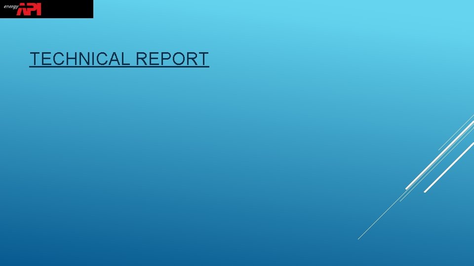 TECHNICAL REPORT 