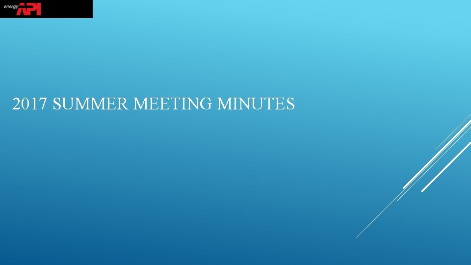 2017 SUMMER MEETING MINUTES 