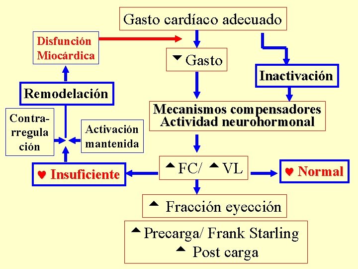 Gasto cardíaco adecuado Disfunción Miocárdica Gasto Remodelación Contrarregula ción Activación mantenida Insuficiente Inactivación Mecanismos