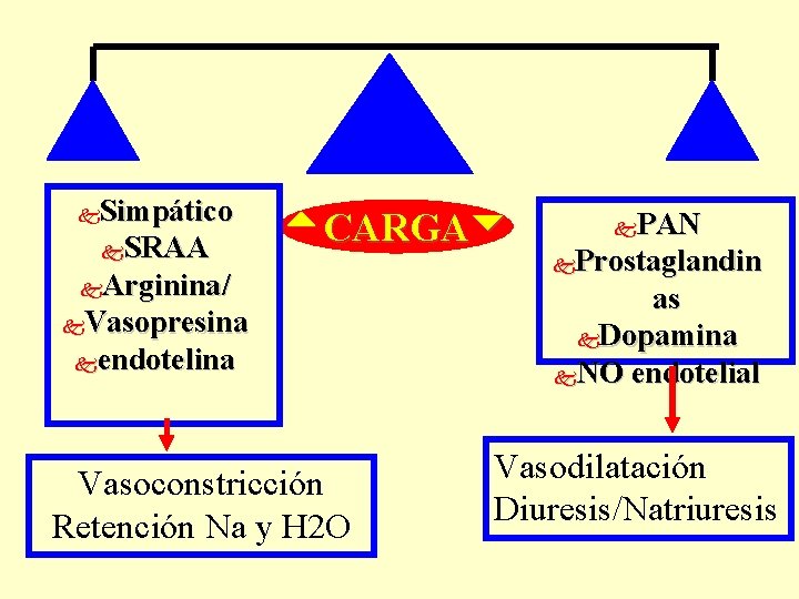 Simpático k. SRAA k. Arginina/ k. Vasopresina kendotelina k CARGA Vasoconstricción Retención Na y