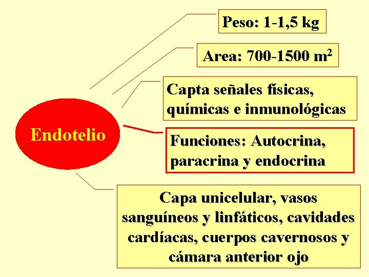 Peso: 1 -1, 5 kg Area: 700 -1500 m 2 Capta señales físicas, químicas