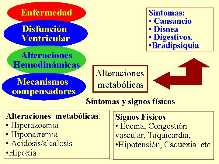 Enfermedad Síntomas: • Cansancio • Disnea • Digestivos. • Bradipsiquia Disfunción Ventricular Alteraciones Hemodinámicas