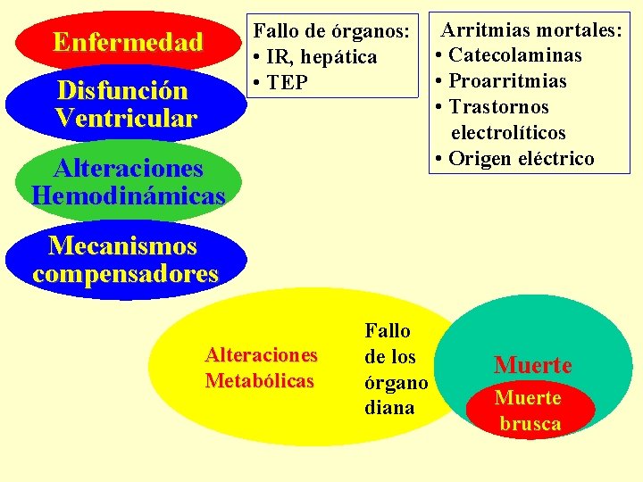 Enfermedad Disfunción Ventricular Fallo de órganos: • IR, hepática • TEP Alteraciones Hemodinámicas Arritmias