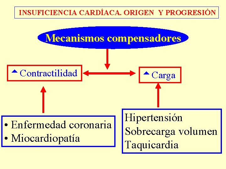 INSUFICIENCIA CARDÍACA. ORIGEN Y PROGRESIÓN Mecanismos compensadores Contractilidad • Enfermedad coronaria • Miocardiopatía Carga