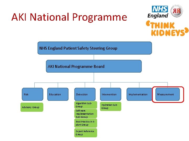AKI National Programme NHS England Patient Safety Steering Group AKI National Programme Board Risk