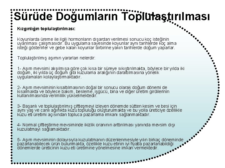 Sürüde Doğumların Toplulaştırılması Kızgınlığın toplulaştırılması: Koyunlarda üreme ilgili hormonların dışardan verilmesi sonucu koç isteğinin