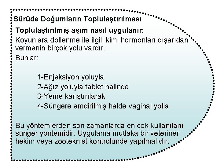 Sürüde Doğumların Toplulaştırılması Toplulaştırılmış aşım nasıl uygulanır: Koyunlara döllenme ilgili kimi hormonları dışarıdan vermenin