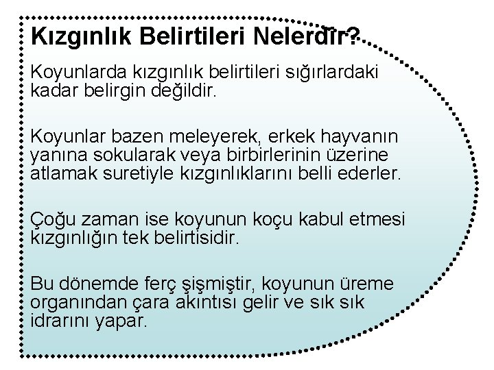 Kızgınlık Belirtileri Nelerdir? Koyunlarda kızgınlık belirtileri sığırlardaki kadar belirgin değildir. Koyunlar bazen meleyerek, erkek