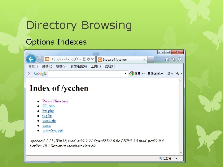 Directory Browsing Options Indexes 