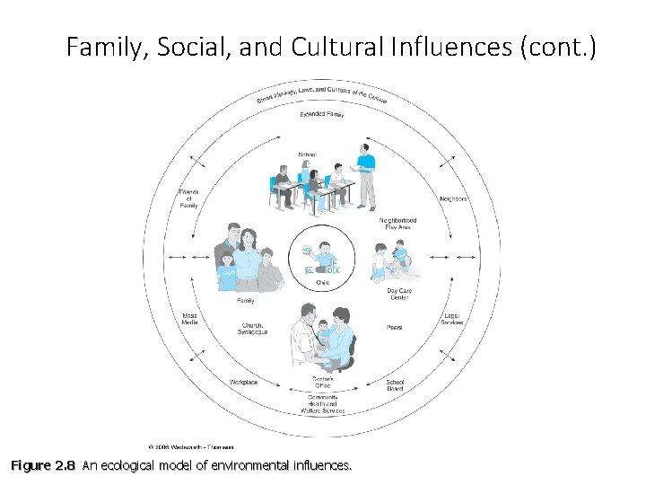 Family, Social, and Cultural Influences (cont. ) Figure 2. 8 An ecological model of