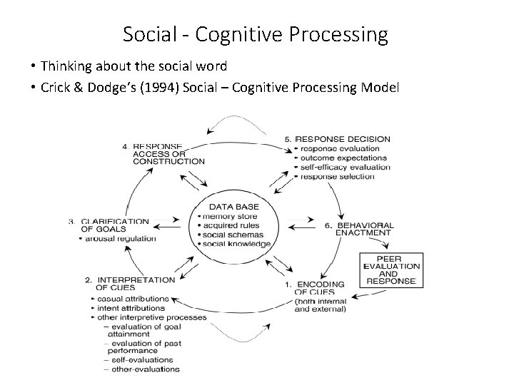 Social - Cognitive Processing • Thinking about the social word • Crick & Dodge’s