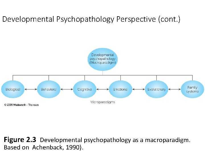 Developmental Psychopathology Perspective (cont. ) Figure 2. 3 Developmental psychopathology as a macroparadigm. Based