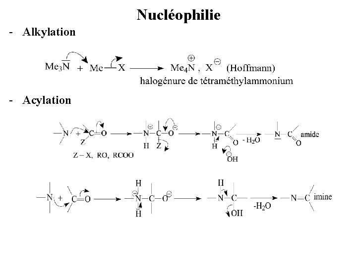 Nucléophilie - Alkylation - Acylation 