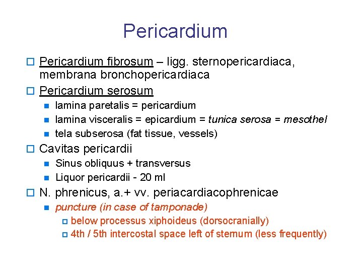 Pericardium o Pericardium fibrosum – ligg. sternopericardiaca, membrana bronchopericardiaca o Pericardium serosum n n