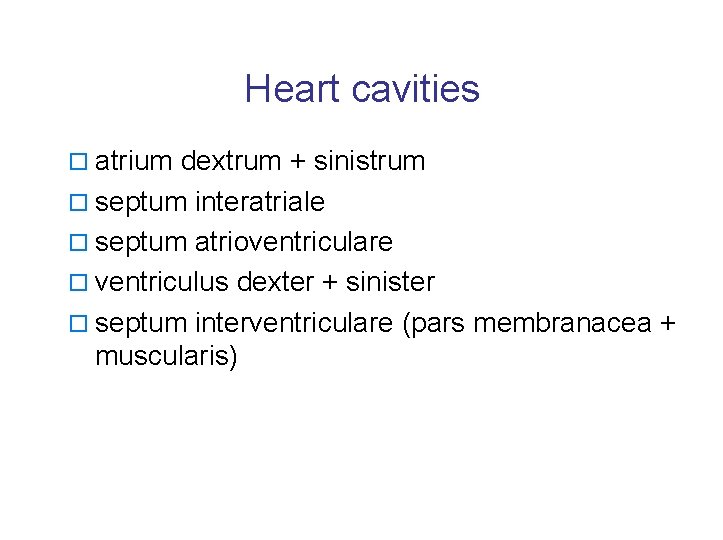 Heart cavities o atrium dextrum + sinistrum o septum interatriale o septum atrioventriculare o