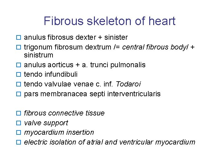 Fibrous skeleton of heart o anulus fibrosus dexter + sinister o trigonum fibrosum dextrum